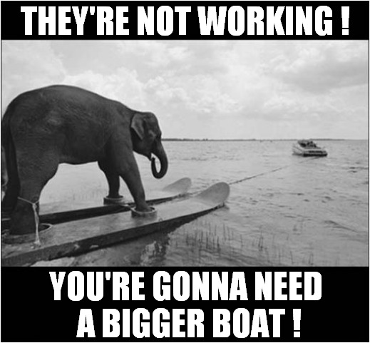 Elephant Water Skiing ! | THEY'RE NOT WORKING ! YOU'RE GONNA NEED
 A BIGGER BOAT ! | image tagged in fun,elephant,water skiing,going to need a bigger boat | made w/ Imgflip meme maker