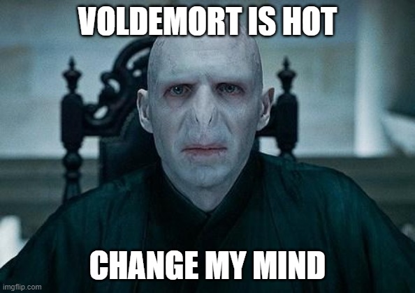 Lord Voldemort | VOLDEMORT IS HOT; CHANGE MY MIND | image tagged in lord voldemort | made w/ Imgflip meme maker