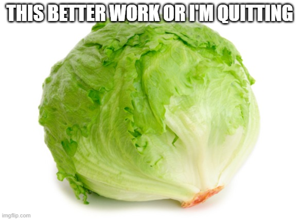 Lettuce  | THIS BETTER WORK OR I'M QUITTING | image tagged in lettuce | made w/ Imgflip meme maker