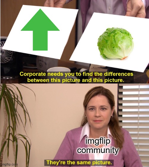 They're The Same Picture | imgflip
community | image tagged in memes,they're the same picture,funny,lettuce,imgflip | made w/ Imgflip meme maker