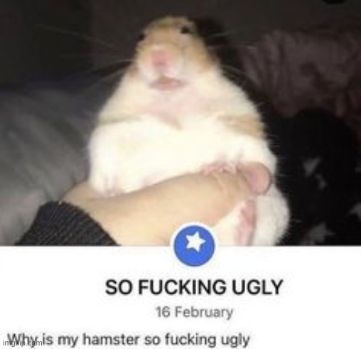 facebook | made w/ Imgflip meme maker