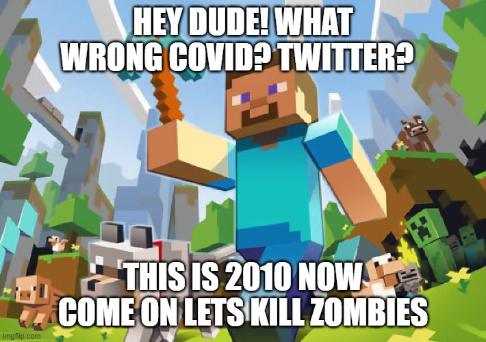 i which it was 2012 still | HEY DUDE! WHAT WRONG COVID? TWITTER? THIS IS 2010 NOW COME ON LETS KILL ZOMBIES | image tagged in minecraft | made w/ Imgflip meme maker