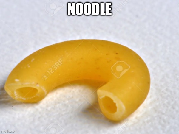 Noodle | NOODLE | image tagged in noodle,memes,funny,funny meme,pasta | made w/ Imgflip meme maker