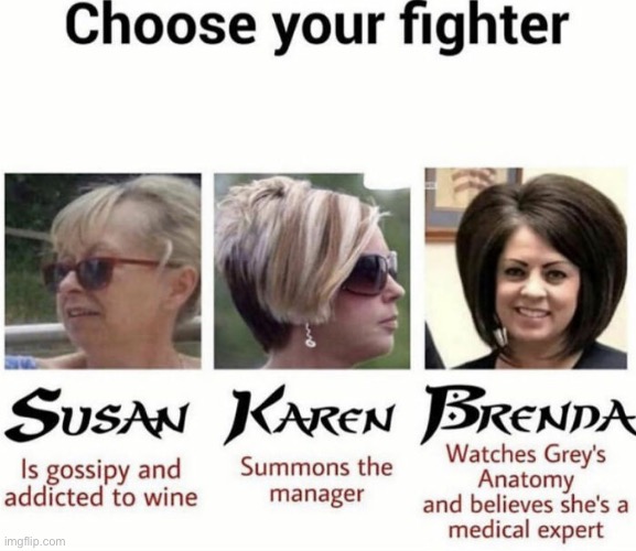 Choose your fighter! Karen edition | made w/ Imgflip meme maker