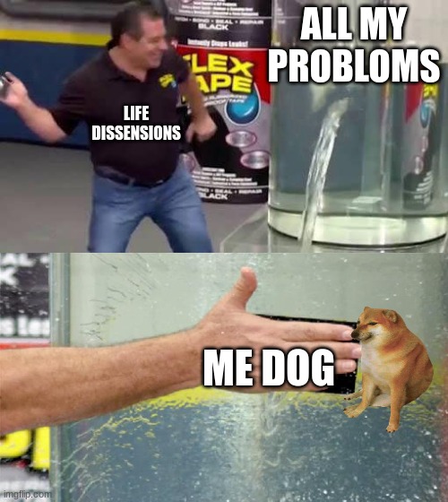 Flex Tape | ALL MY PROBLOMS; LIFE DISSENSIONS; ME DOG | image tagged in flex tape | made w/ Imgflip meme maker