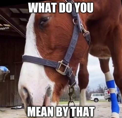 High Quality What do you mean by that horse Blank Meme Template