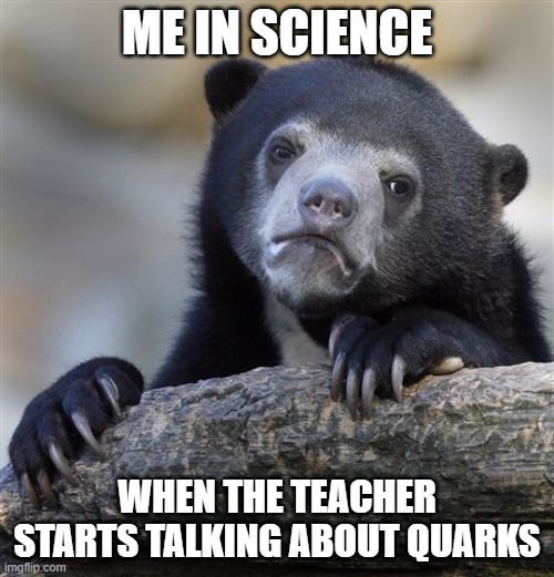 Confession Bear Meme | ME IN SCIENCE; WHEN THE TEACHER STARTS TALKING ABOUT QUARKS | image tagged in memes,confession bear | made w/ Imgflip meme maker