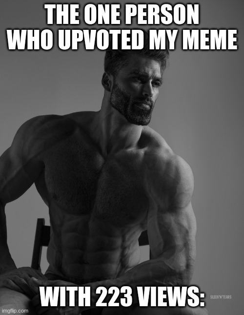 Gigachad upvoter | THE ONE PERSON WHO UPVOTED MY MEME; WITH 223 VIEWS: | image tagged in giga chad | made w/ Imgflip meme maker