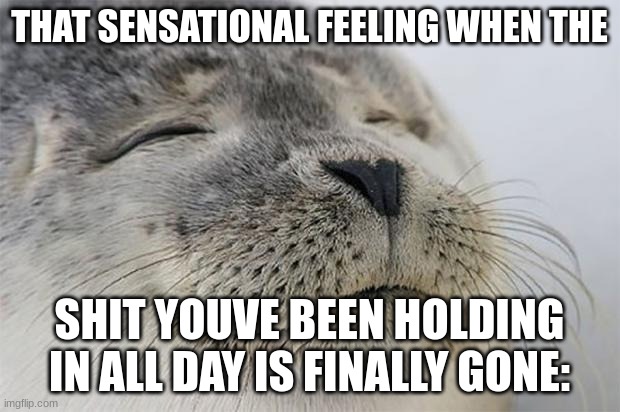 This is very relatable. | THAT SENSATIONAL FEELING WHEN THE; SHIT YOUVE BEEN HOLDING IN ALL DAY IS FINALLY GONE: | image tagged in memes,satisfied seal | made w/ Imgflip meme maker