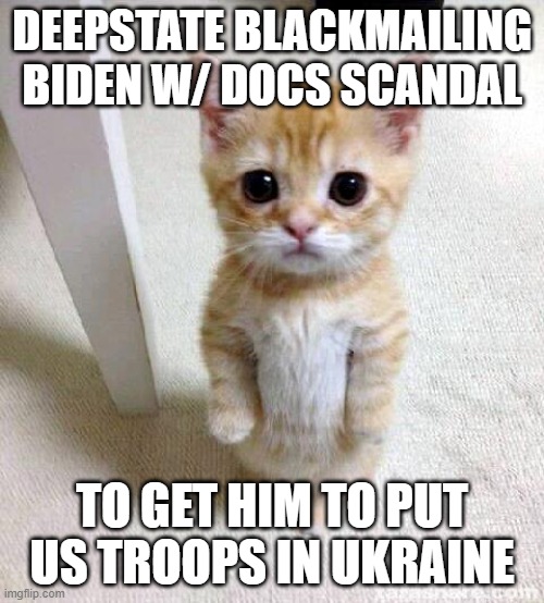 apocalypse meow | DEEPSTATE BLACKMAILING BIDEN W/ DOCS SCANDAL; TO GET HIM TO PUT US TROOPS IN UKRAINE | image tagged in memes,cute cat | made w/ Imgflip meme maker