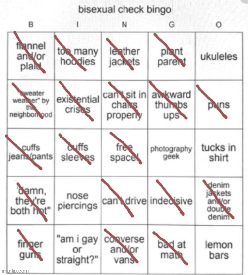 Bisexual Bingo | image tagged in bisexual bingo | made w/ Imgflip meme maker