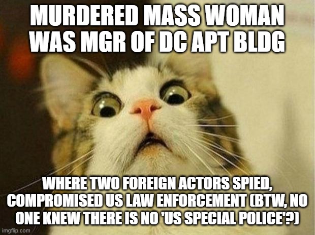 meow hear this | MURDERED MASS WOMAN WAS MGR OF DC APT BLDG; WHERE TWO FOREIGN ACTORS SPIED, COMPROMISED US LAW ENFORCEMENT (BTW, NO ONE KNEW THERE IS NO 'US SPECIAL POLICE'?) | image tagged in memes,scared cat | made w/ Imgflip meme maker