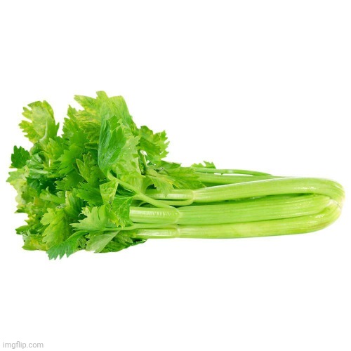 Celery | image tagged in celery | made w/ Imgflip meme maker