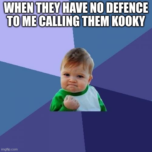 Success Kid | WHEN THEY HAVE NO DEFENCE TO ME CALLING THEM KOOKY | image tagged in memes,success kid | made w/ Imgflip meme maker