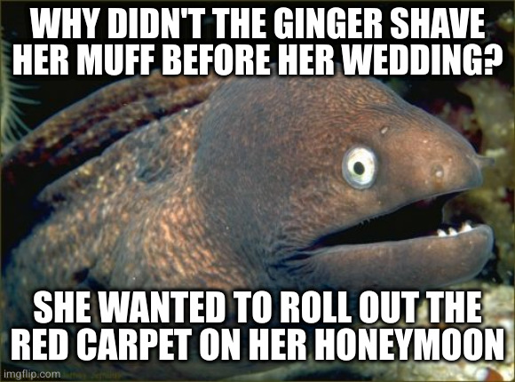 If a woman who isn't a natural redhead tries this, tell her maybe next week | WHY DIDN'T THE GINGER SHAVE HER MUFF BEFORE HER WEDDING? SHE WANTED TO ROLL OUT THE
RED CARPET ON HER HONEYMOON | image tagged in memes,bad joke eel | made w/ Imgflip meme maker