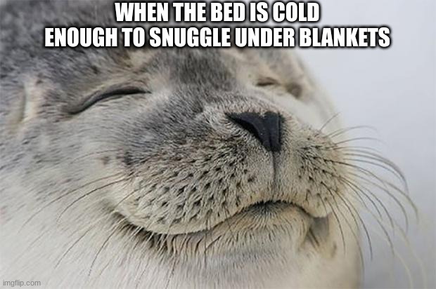 That moment | WHEN THE BED IS COLD ENOUGH TO SNUGGLE UNDER BLANKETS | image tagged in memes,satisfied seal | made w/ Imgflip meme maker