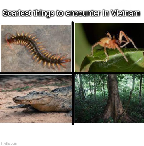 Blank Starter Pack Meme | Scariest things to encounter in Vietnam | image tagged in memes,blank starter pack | made w/ Imgflip meme maker