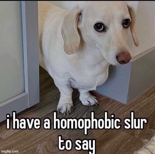 I have a homophobic slur to say | image tagged in i have a homophobic slur to say | made w/ Imgflip meme maker
