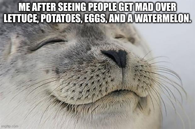 Satisfied Seal | ME AFTER SEEING PEOPLE GET MAD OVER LETTUCE, POTATOES, EGGS, AND A WATERMELON. | image tagged in memes,satisfied seal | made w/ Imgflip meme maker