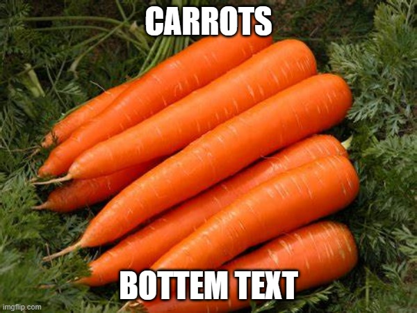 Carrots | CARROTS; BOTTEM TEXT | image tagged in carrots | made w/ Imgflip meme maker