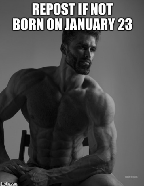 Repost if not born on January 23 | image tagged in repost if not born,giga chad template | made w/ Imgflip meme maker