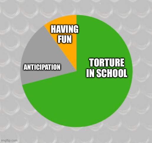 Anticipation | HAVING FUN; ANTICIPATION; TORTURE IN SCHOOL | image tagged in pie chart | made w/ Imgflip meme maker