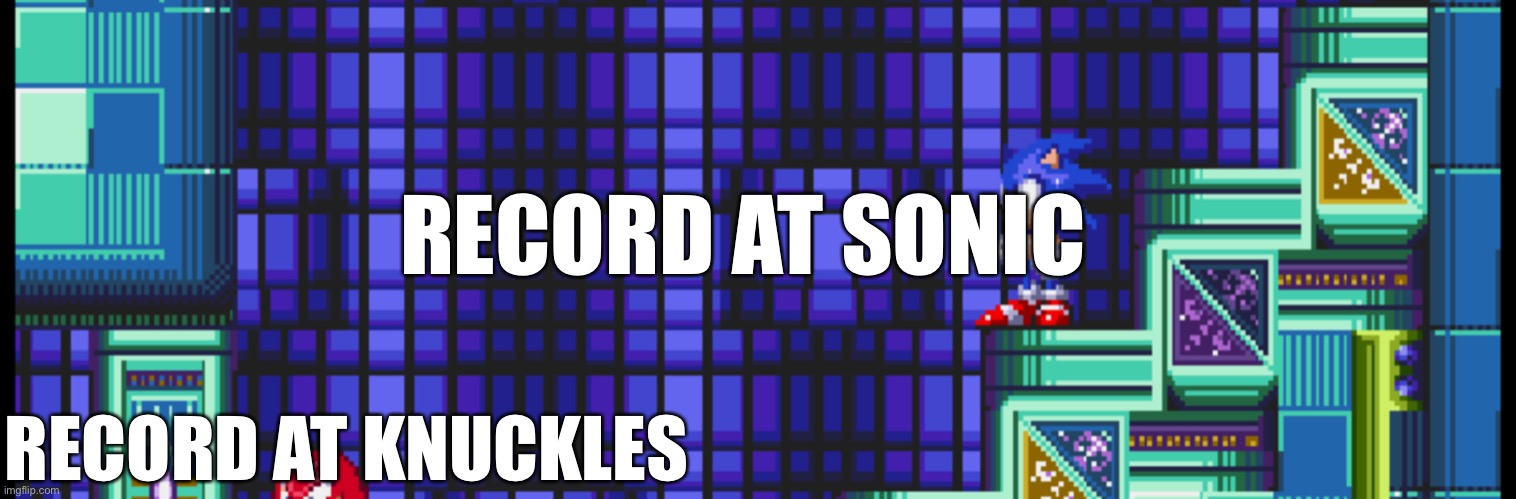 Hidden palace | RECORD AT SONIC; RECORD AT KNUCKLES | image tagged in hidden palace | made w/ Imgflip meme maker