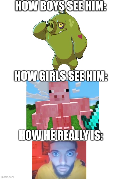 am i wrong? | HOW BOYS SEE HIM:; HOW GIRLS SEE HIM:; HOW HE REALLY IS: | image tagged in goofy ahh,top of my head,look at this dude | made w/ Imgflip meme maker