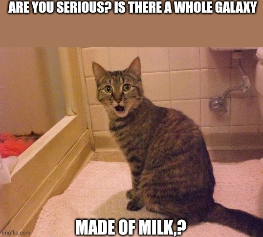 surprised and amazed cat | ARE YOU SERIOUS? IS THERE A WHOLE GALAXY; MADE OF MILK,? | image tagged in surprised and amazed cat | made w/ Imgflip meme maker