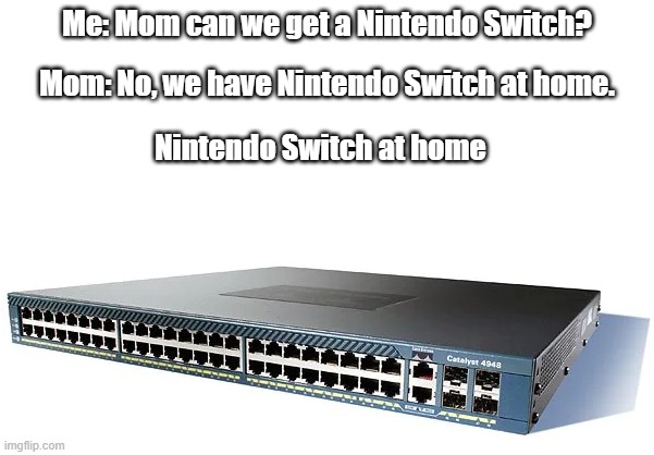 Nintendo Switch | Me: Mom can we get a Nintendo Switch? Mom: No, we have Nintendo Switch at home. Nintendo Switch at home | image tagged in fun,mom can we have,nintendo switch,switch,i have achieved comedy | made w/ Imgflip meme maker