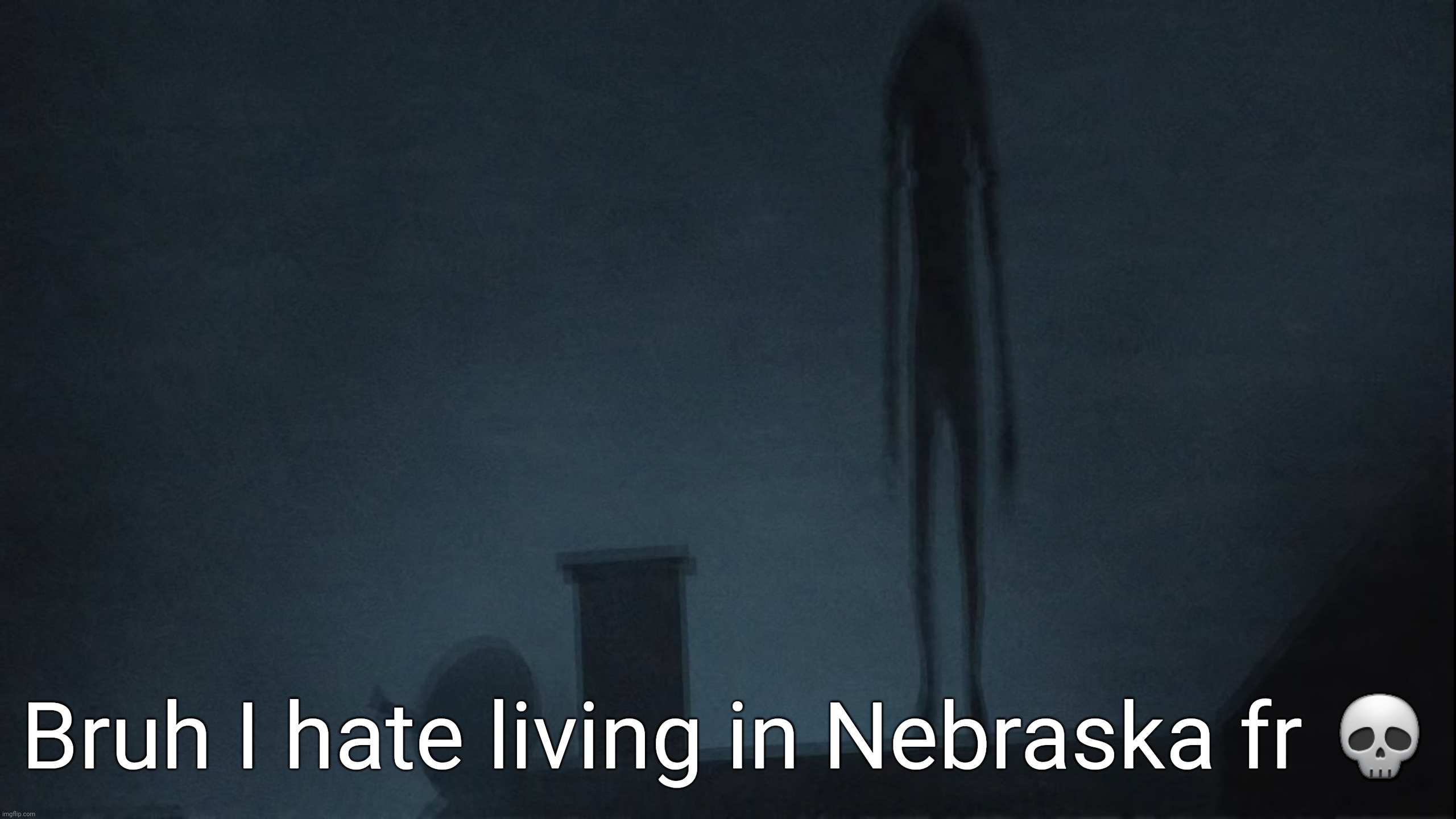 Fr fr | Bruh I hate living in Nebraska fr 💀 | image tagged in nebraska,memes,trevor henderson | made w/ Imgflip meme maker