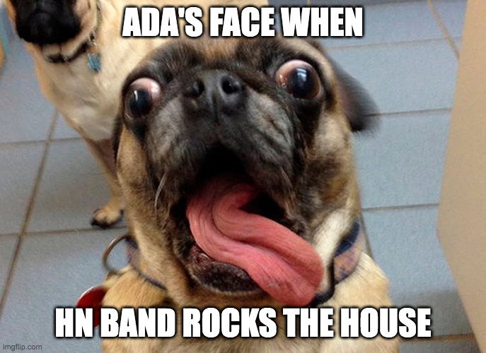 Shocked Bull Dog | ADA'S FACE WHEN; HN BAND ROCKS THE HOUSE | image tagged in shocked bull dog | made w/ Imgflip meme maker