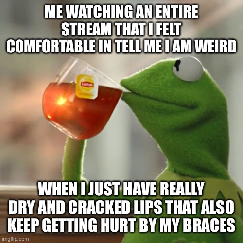 This is fine. | ME WATCHING AN ENTIRE STREAM THAT I FELT COMFORTABLE IN TELL ME I AM WEIRD; WHEN I JUST HAVE REALLY DRY AND CRACKED LIPS THAT ALSO KEEP GETTING HURT BY MY BRACES | image tagged in memes,but that's none of my business,kermit the frog | made w/ Imgflip meme maker