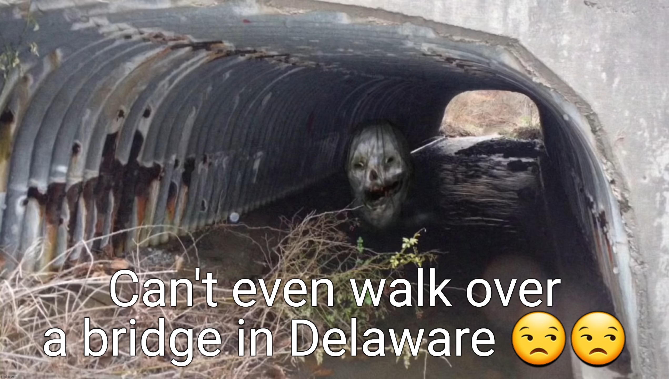 I'm hoping this starts a trend. | Can't even walk over a bridge in Delaware 😒😒 | image tagged in delaware,memes,trevor henderson | made w/ Imgflip meme maker