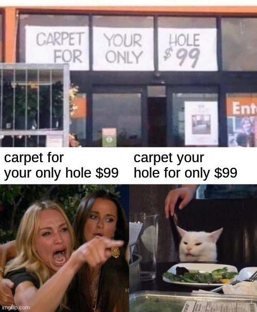 the sign | carpet for your only hole $99; carpet your hole for only $99 | image tagged in memes,woman yelling at cat,funny signs,they killed kenny | made w/ Imgflip meme maker