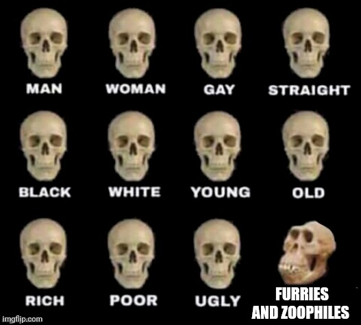 idiot skull | FURRIES AND ZOOPHILES | image tagged in idiot skull | made w/ Imgflip meme maker