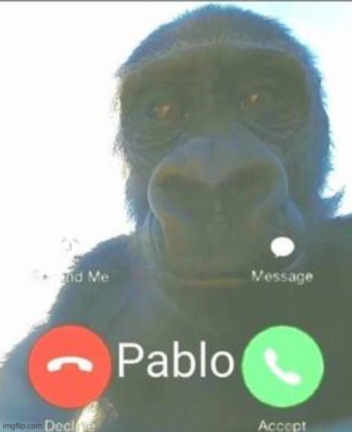 pablo | image tagged in pablo why aren't we alive | made w/ Imgflip meme maker