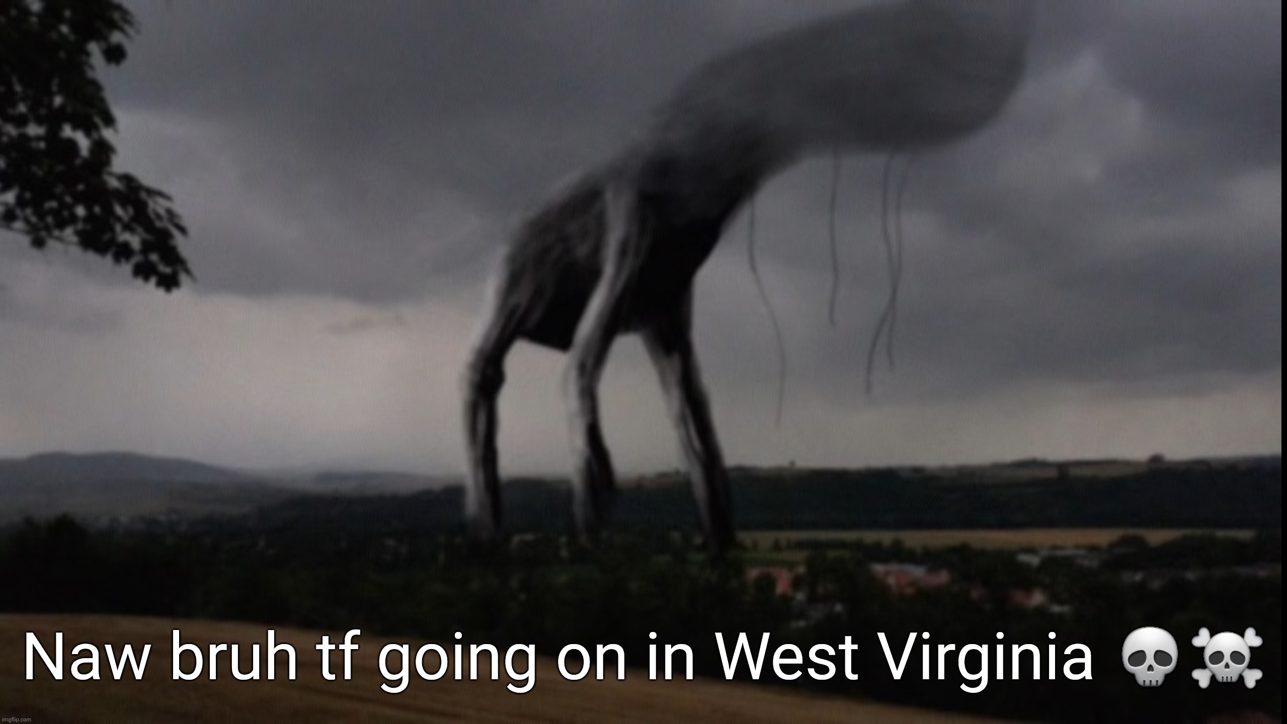 Bruh ☠️ | Naw bruh tf going on in West Virginia 💀☠️ | image tagged in west virginia,memes,trevor henderson | made w/ Imgflip meme maker