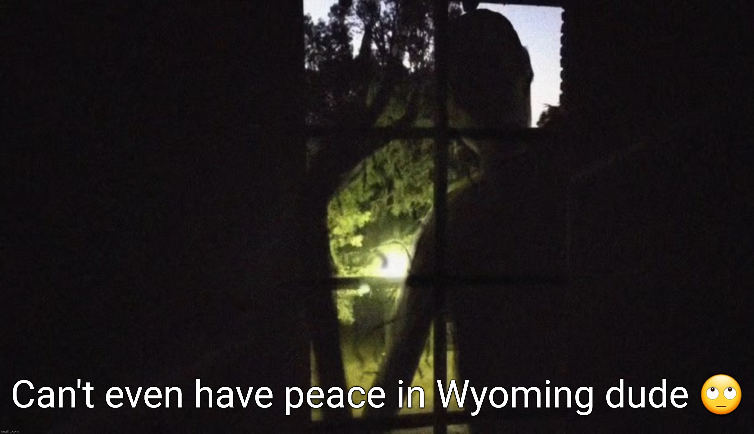 :/ | Can't even have peace in Wyoming dude 🙄 | image tagged in wyoming,memes,trevor henderson | made w/ Imgflip meme maker