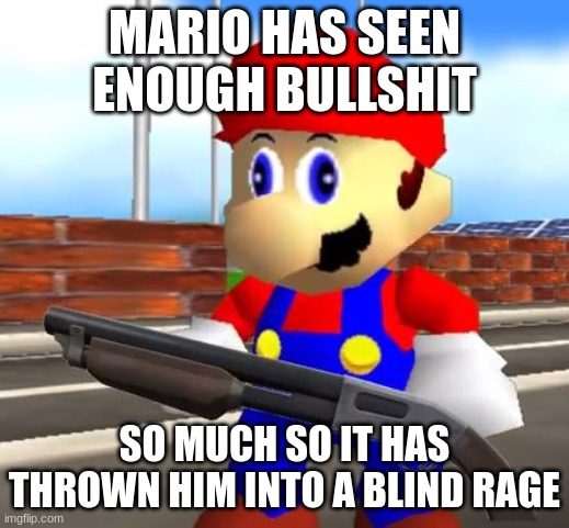 he has seen enough | MARIO HAS SEEN ENOUGH BULLSHIT; SO MUCH SO IT HAS THROWN HIM INTO A BLIND RAGE | image tagged in smg4 shotgun mario | made w/ Imgflip meme maker