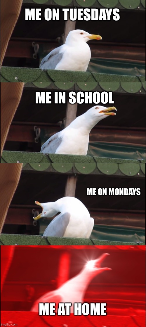 Me | ME ON TUESDAYS; ME IN SCHOOL; ME ON MONDAYS; ME AT HOME | image tagged in memes,inhaling seagull | made w/ Imgflip meme maker