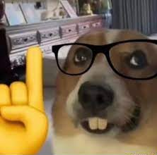 nerd dog Blank Meme Template