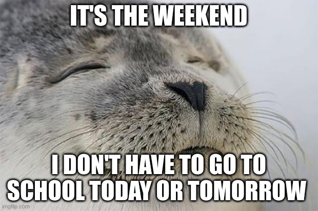 YES | IT'S THE WEEKEND; I DON'T HAVE TO GO TO SCHOOL TODAY OR TOMORROW | image tagged in memes,satisfied seal | made w/ Imgflip meme maker