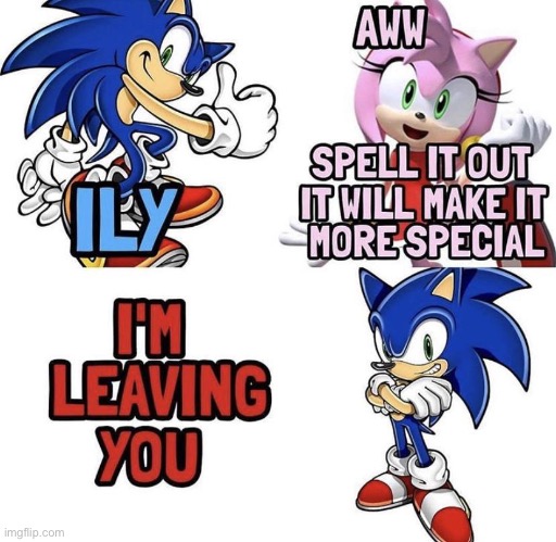 Sonic wtf you killed her | made w/ Imgflip meme maker