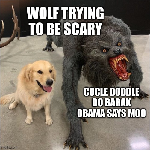 dog vs werewolf | WOLF TRYING TO BE SCARY; COCLE DODDLE DO BARAK OBAMA SAYS MOO | image tagged in dog vs werewolf | made w/ Imgflip meme maker