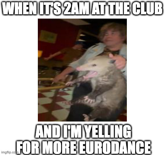 Drunk possum | WHEN IT'S 2AM AT THE CLUB; AND I'M YELLING FOR MORE EURODANCE | image tagged in possum | made w/ Imgflip meme maker