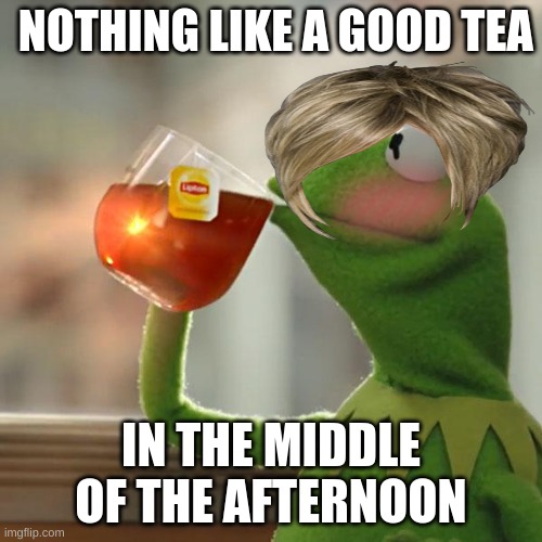 But That's None Of My Business | NOTHING LIKE A GOOD TEA; IN THE MIDDLE OF THE AFTERNOON | image tagged in memes,but that's none of my business,kermit the frog | made w/ Imgflip meme maker
