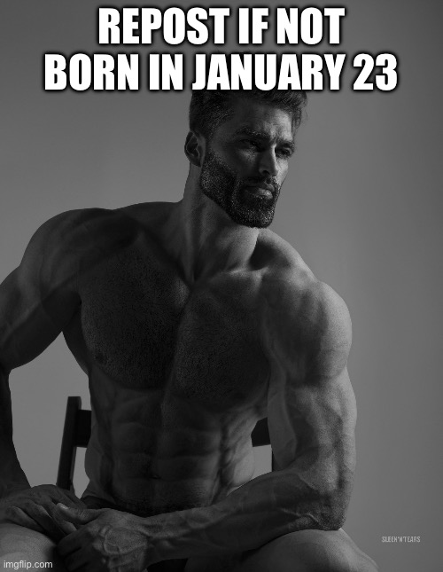 Giga Chad | REPOST IF NOT BORN IN JANUARY 23 | image tagged in giga chad | made w/ Imgflip meme maker