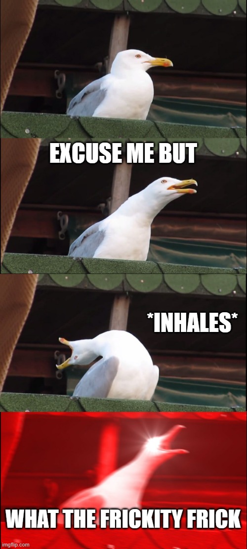 Inhaling Seagull Meme | EXCUSE ME BUT *INHALES* WHAT THE FRICKITY FRICK | image tagged in memes,inhaling seagull | made w/ Imgflip meme maker