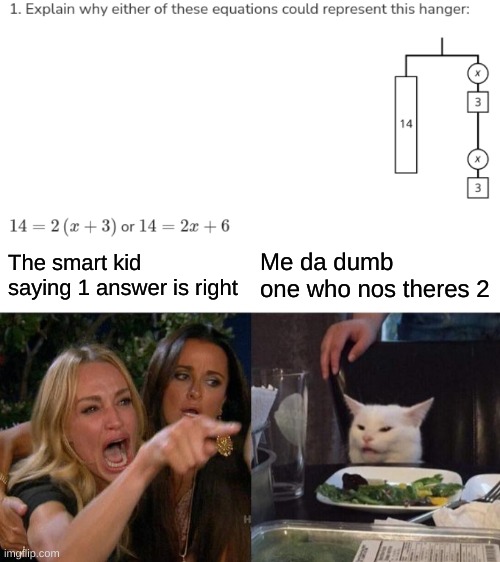 Math | The smart kid saying 1 answer is right; Me da dumb one who nos theres 2 | image tagged in memes,woman yelling at cat,math | made w/ Imgflip meme maker